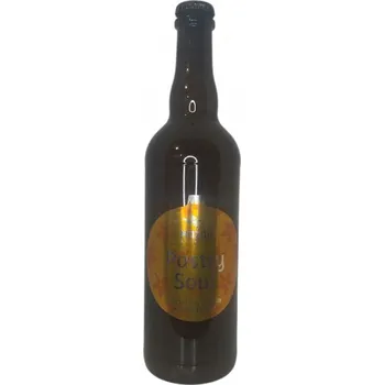 Pivo Pivovar Mazák Vánoční pastry sour 16 0,7l pivovar Mazák