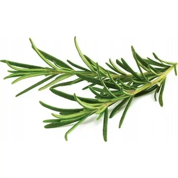 Obraz Náhradní kapsle Click and Grow Smart Garden - Rozmarýn