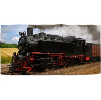 Osuška Sablio Ručník Lokomotiva 3 - 50x100 cm