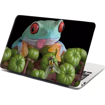 samolepka Sablio Samolepka na notebook Veselá žába - 29x20 cm