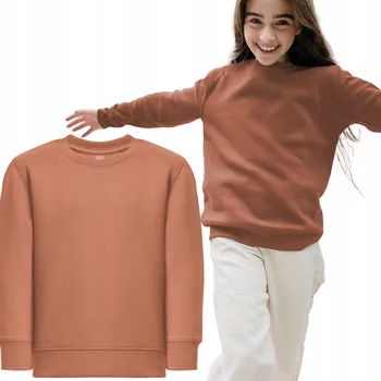 Chlapecká mikina Dětská mikina bavlna TH Clothes hnědá, velikost 128