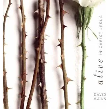 Zahraniční hudba CD David Haas: Alive In Christ Jesus 2001