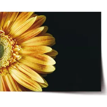 Plakát Sablio Plakát žlutá gerbera - 60x40 cm