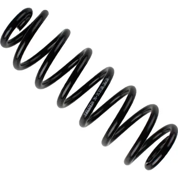 Autodíl Pružina podvozku BILSTEIN 36-313730