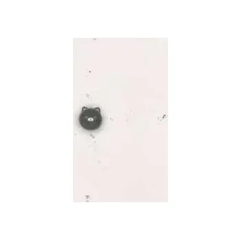 Zahraniční hudba LP Kanekoayano: Ishi No Ito Hitorideni 2025