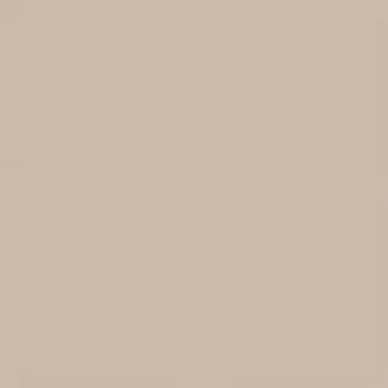 Dlažba Rako Color two dlaždice slinutá béžová 20x20 (GAA1K108)