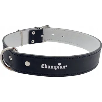 Obojek pro psa Kožený obojek pro psa Champion vel. 3XL