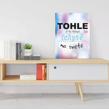 Plechová cedule Sablio Dárková cedulka Tohle je ta nejlepší tchyně na světě: 30x40 cm