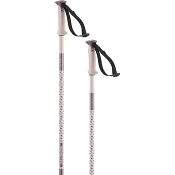 Sjezdové lyžování Salomon Polar - Heavenly Pink 120