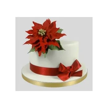 Vánoční dekorace Sada vykrajovátek - VÁNOČNÍ HVĚZDA