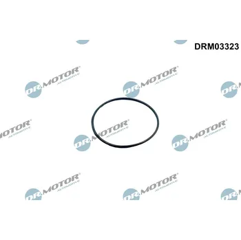 Těsnění motoru Těsnění, hrdlo škrtící klapky Dr.Motor Automotive DRM03323