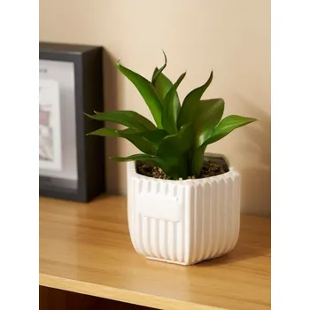 umělá květina Sinsay - Dekorativní rostlina v keramickém květináči - zelená - 685IH-77X - 685IH-77X-ONE