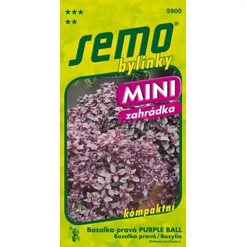 Semeno Bazalka pravá Purple Ball (fialová, drobnolistá, kompaktní) 12/2025