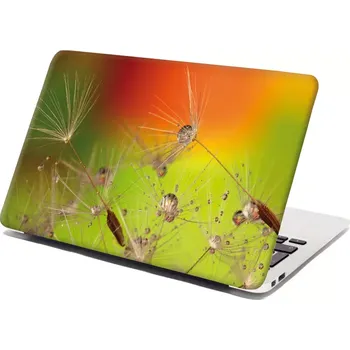 samolepka Sablio Samolepka na notebook Odkvetlé pampelišky - 29x20 cm