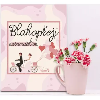 Plechová cedule Sablio Dárková cedulka Blahopřeji novomanželům: 30x40 cm