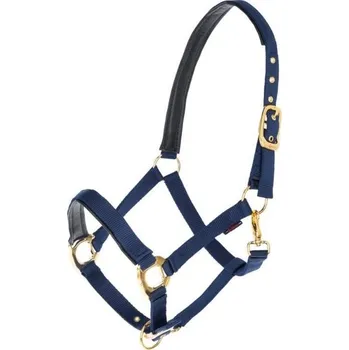 Vybavení pro koně Ohlávka COVALLIERO TopLine modrá PONY