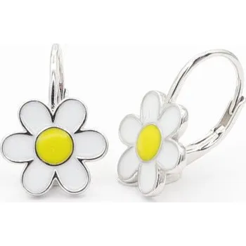 Náušnice Stříbrné náušnice s klasickým zapínáním