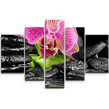 Obraz Sablio Obraz - 5-dílný Orchidej na kamenech - 125x90 cm