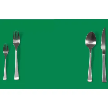 prostírání Sablio Prostírání Bledě zelená: 40x30cm