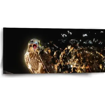 Obraz Sablio Obraz Dravec - 110x50 cm