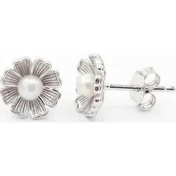 Náušnice Stříbrné náušnice na puzetu