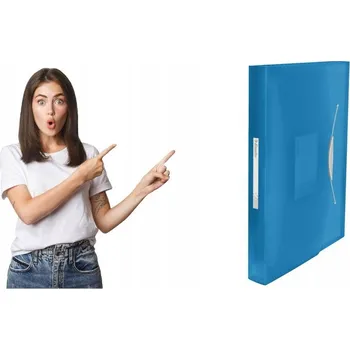 Pořadač / Organizér na dokumenty A4 s přihrádkami Esselte