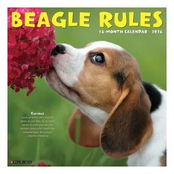Kalendář Beagle Rules 2026 12 X 12 Wall Calendar (Brožovaná)