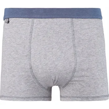 Pánské spodní prádlo PÁNSKÉ BOXERKY MORAJ KLASICKÉ BAVLNĚNÉ SPODNÍ PRÁDLO SLIPY M