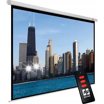 Projekční technika Elektrické projekční plátno Business Electric 300P (16:9)