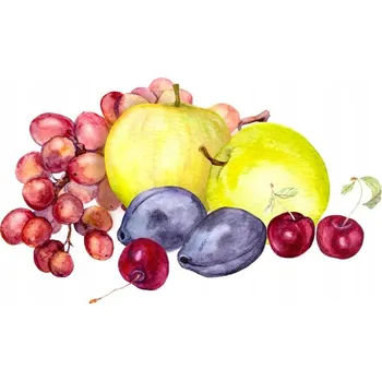 Obraz Obraz Na Plátně Letní Ovoce Malované Akvarelem 40x30