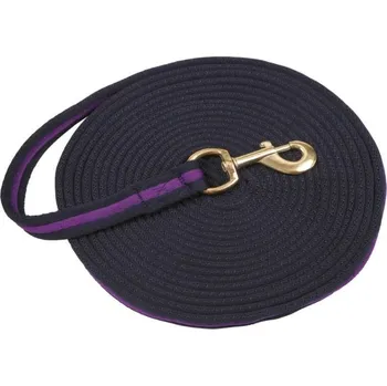 Lonž COVALLIERO Soft modrá/fialová