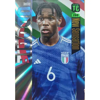 Sběratelská karetní hra Destiny Udogie