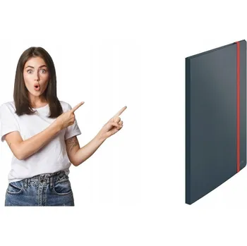 Prezentační desky A4 Leitz šedé