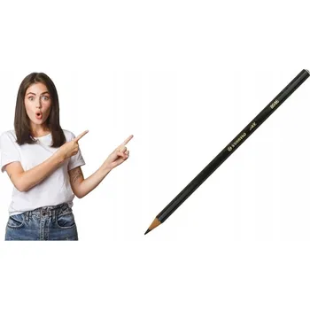 Pastelka Tužka ALL Stabilo černá 8046