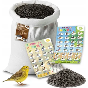 Krmivo pro ptáka Slunečnice černá krmivo pro ptáky 10 kg