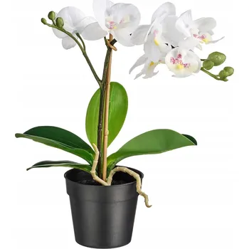 umělá květina ORCHIDEJ BÍLÁ UMĚLÁ ROSTLINA FEJKA 9 CM IKEA
