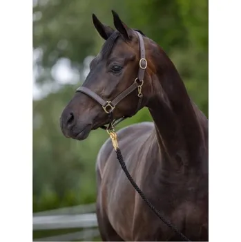 Kožená ohlávka COVALLIERO Eco hnědá XFULL