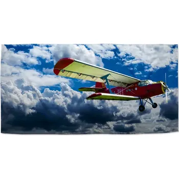 Osuška Sablio Ručník Letoun - 30x50 cm