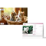 MFP Stolní kalendář Kočky 2026