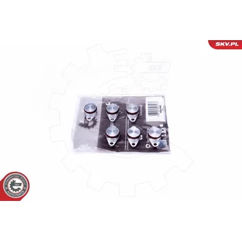 Váha vzduchu Sada na opravu, modul sacího potrubí ESEN SKV 49SKV545