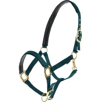 Jezdectví Ohlávka COVALLIERO TopLine zelená FULL