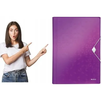 Pořadač / Organizér s přihrádkami A4 Leitz