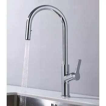 Vodovodní baterie Kuchyňská baterie stojánková otočná 360° stříbrná