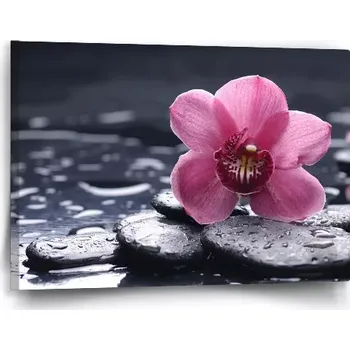 Obraz Sablio Obraz Orchidej - 60x40 cm