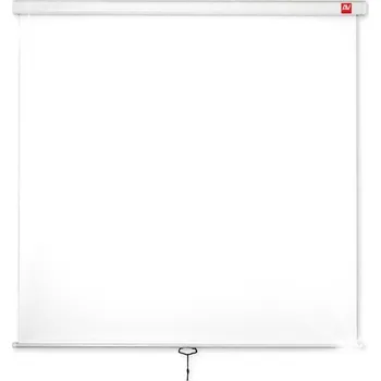Projekční plátno Ruční promítací plátno na stěnu Wall Standard 175, 1:1