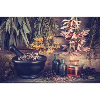 Obraz Obraz Na Plátně Koutek Bylin a Koření 40x30