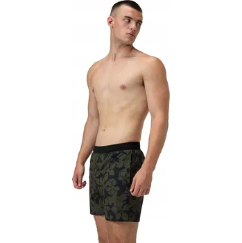 Pánské kraťasy Pánské plážové šortky Speedo zelené L