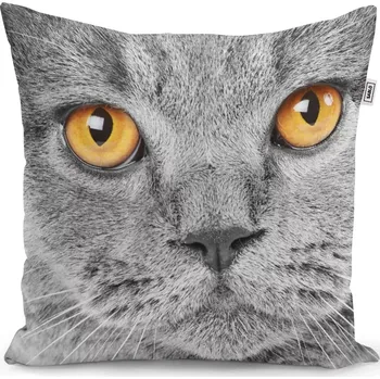 Polštář Sablio Polštář Kočičí pohled - 40x40 cm