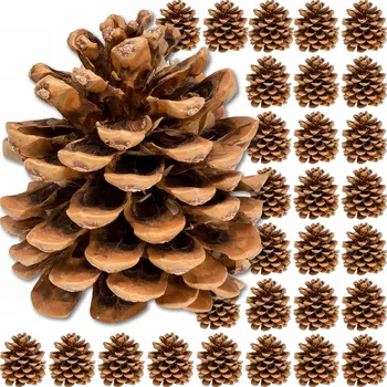 Vánoční dekorace ŠIŠKA ŠIŠKY BOROVICOVÉ PŘÍRODNÍ OZDOBA NA DEKORACE VĚNEC DEKORACE 30 KS