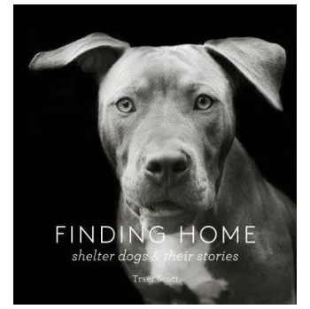 Cizojazyčná kniha Finding Home (Traer Scott)(Pevná)